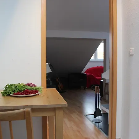 Apartment Rooftop Loft Mitte And Bikes *