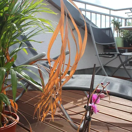 Rooftop Loft Mitte And Bikes