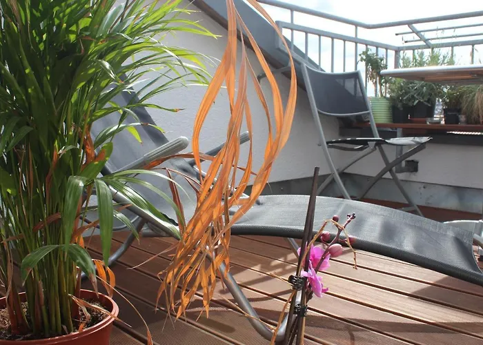 Rooftop Loft Mitte And Bikes