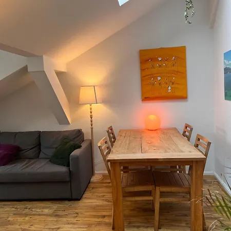 Apartment Rooftop Loft Mitte And Bikes