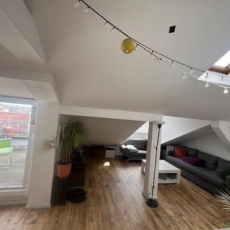 Apartment Rooftop Loft Mitte And Bikes