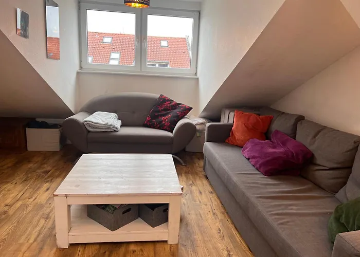 Apartment Rooftop Loft Mitte And Bikes *