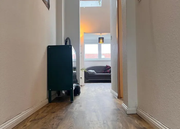 Rooftop Loft Mitte And Bikes